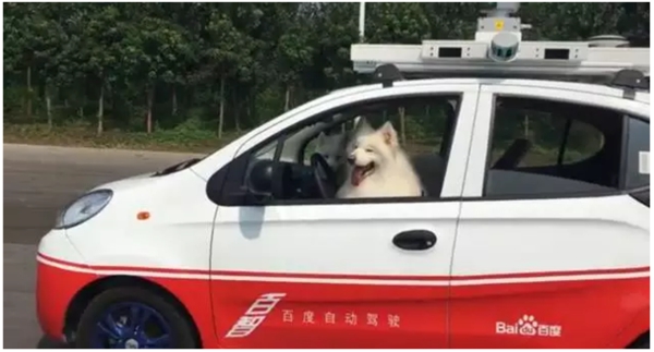 國內(nèi)外無人駕駛是什么水平？